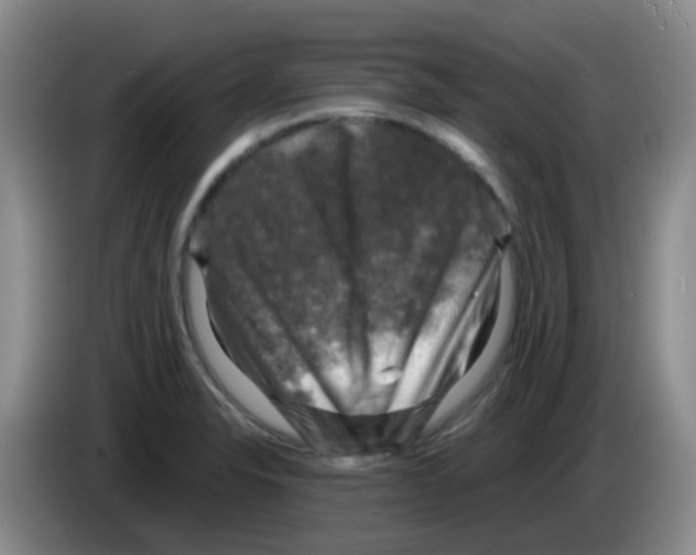 X0000083561326200703091608