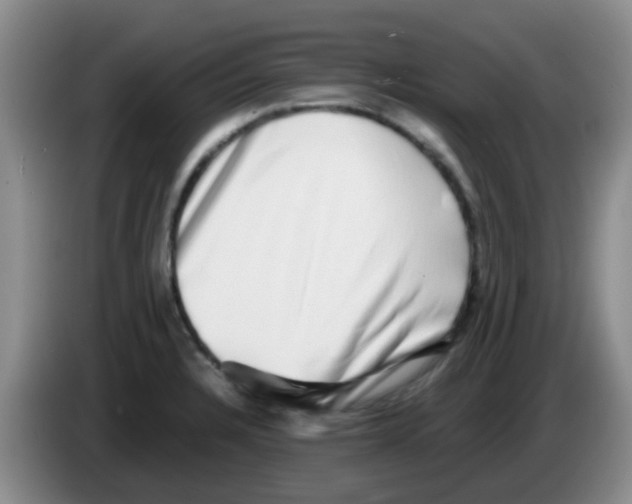 X0000083561328200703091608