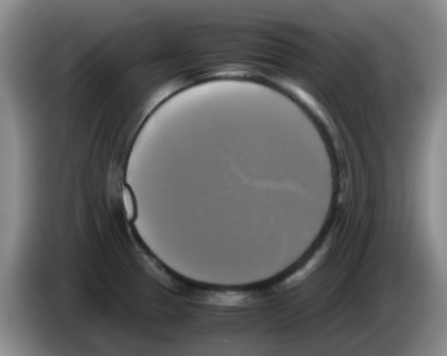 X0000083561329200703091608