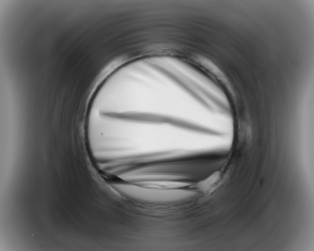 X0000083561330200703091608