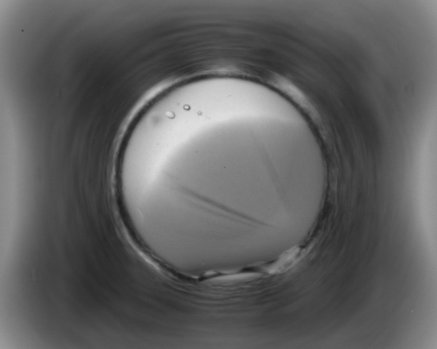 X0000083561331200703091608