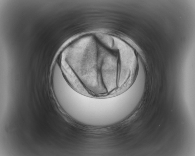 X0000083561332200703091608