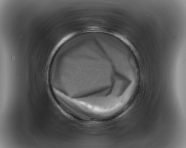 X0000083561333200703091608