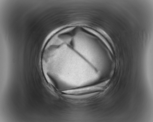 X0000083561336200703091608