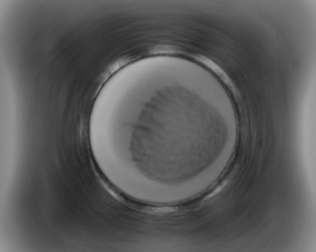 X0000083561337200703091608