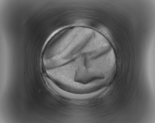 X0000083561340200703091608