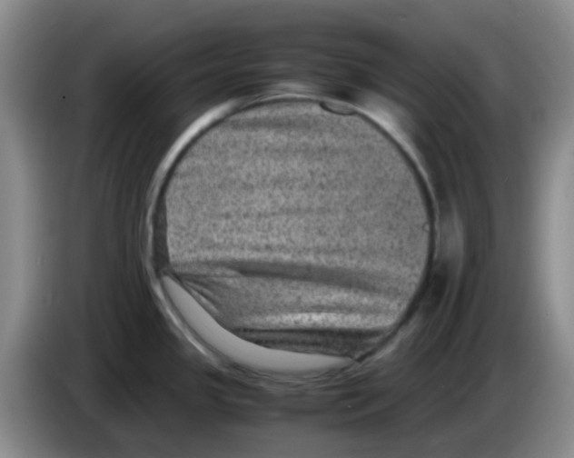 X0000083561341200703091608