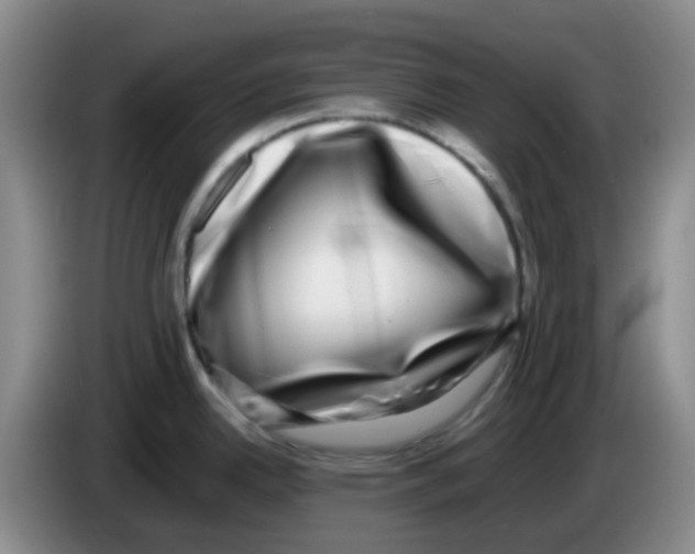 X0000083561342200703091608