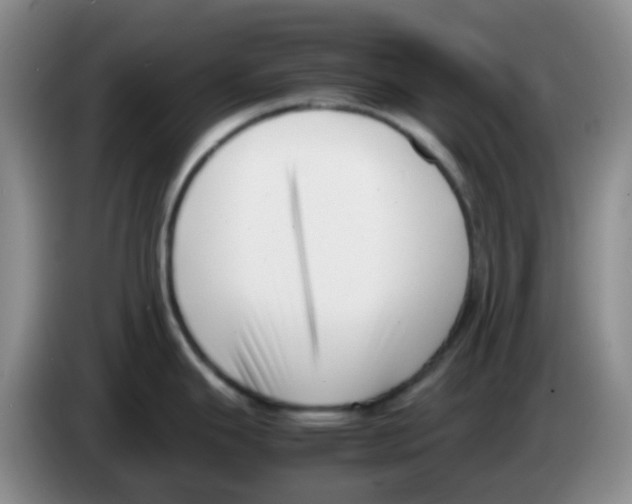 X0000083561343200703091608