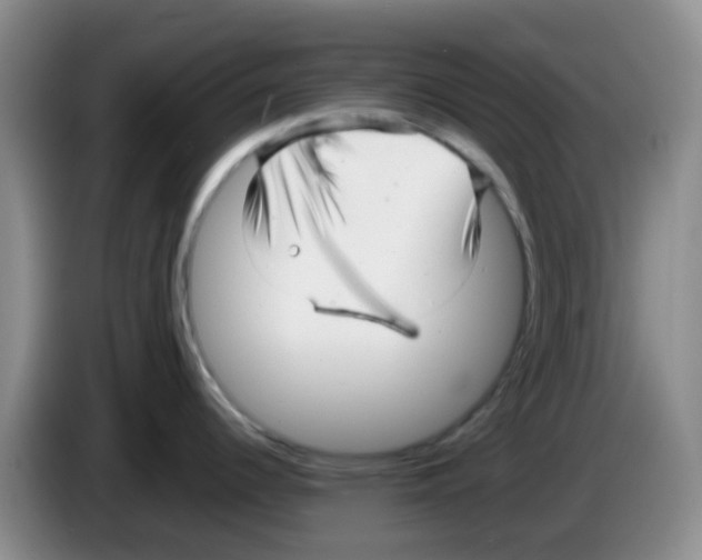 X0000083561344200703091608