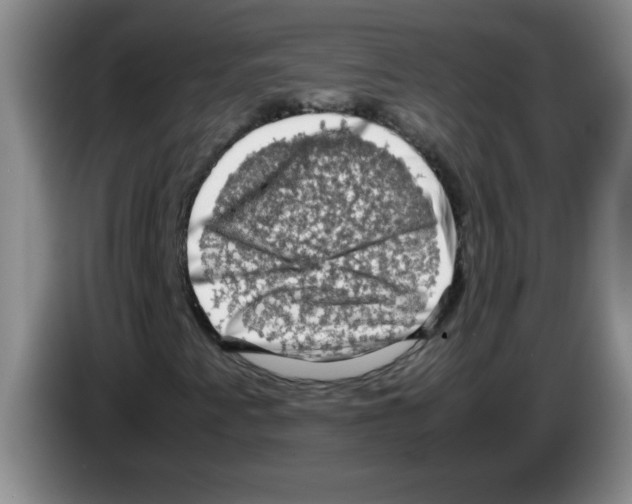 X0000083561345200703091608