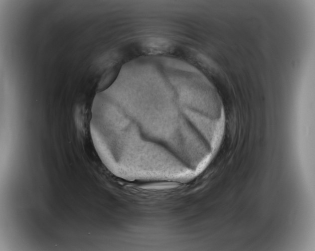 X0000083561346200703091608