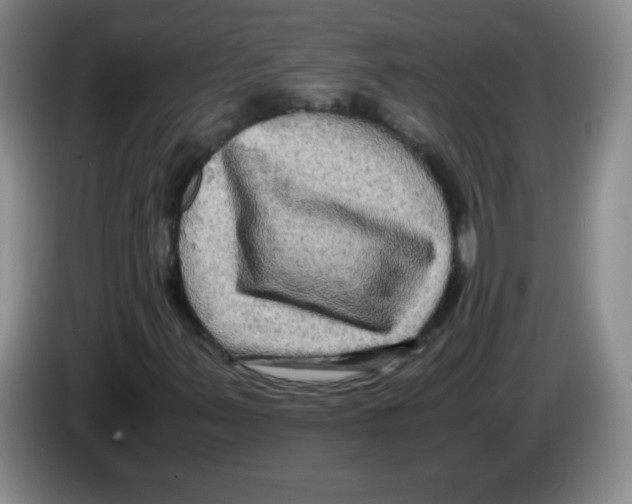 X0000083561347200703091608