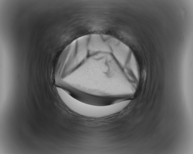 X0000083561348200703091608