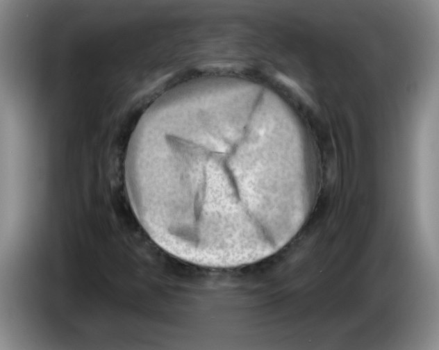 X0000083561350200703091608