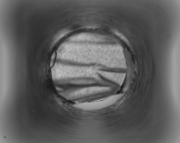 X0000083561352200703091608