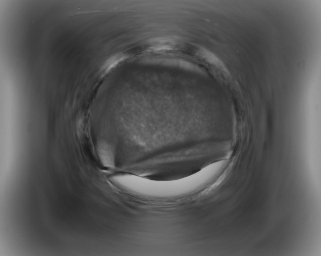 X0000083561353200703091608