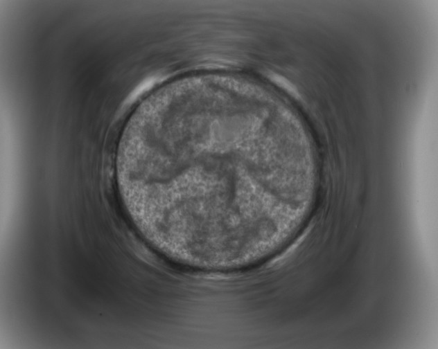 X0000083561355200703091608