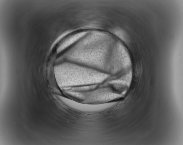 X0000083561356200703091607