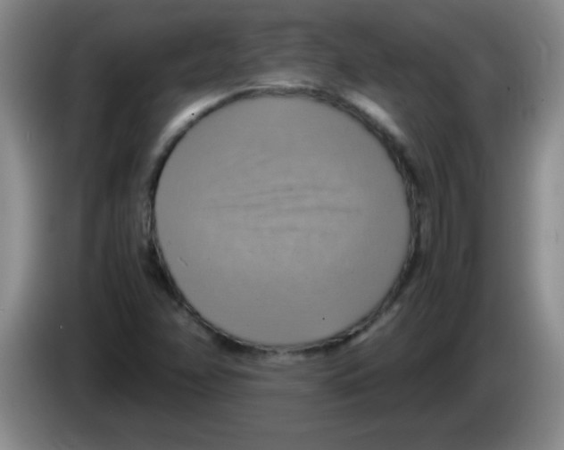 X0000083561358200703091607