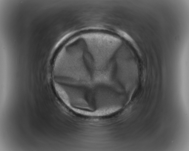 X0000083561360200703091607