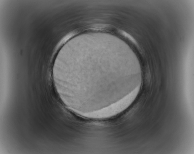 X0000083561362200703091607