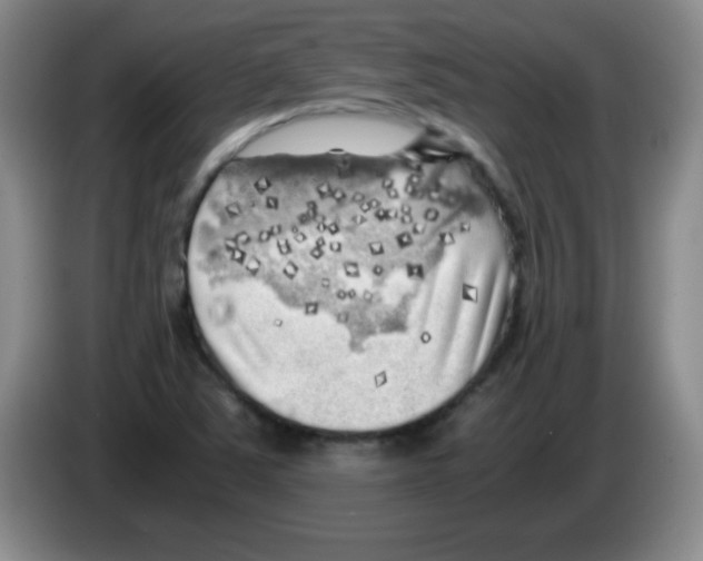 X0000083561363200703091607