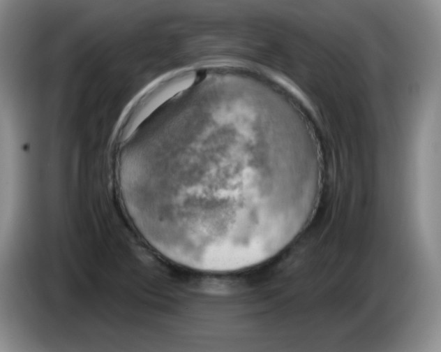 X0000083561364200703091607