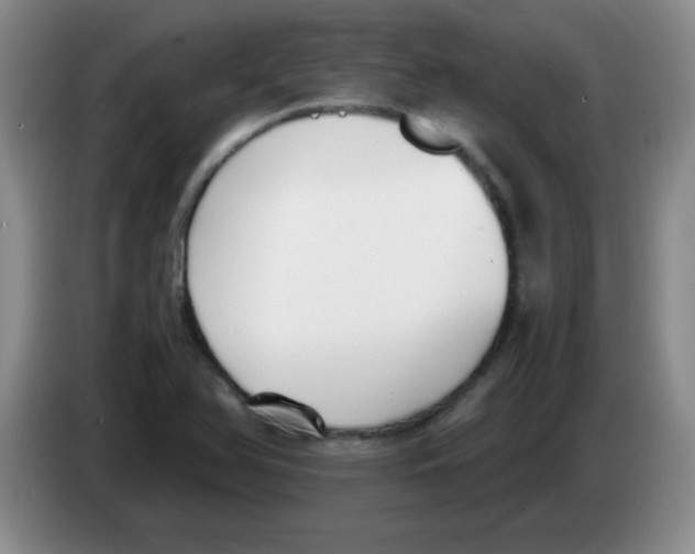 X0000083561366200703091607