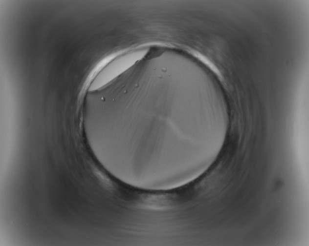 X0000083561367200703091607