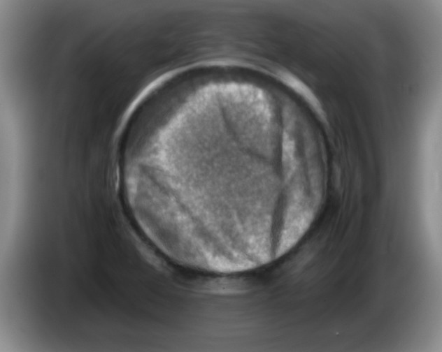 X0000083561368200703091607