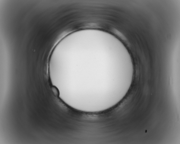 X0000083561370200703091607