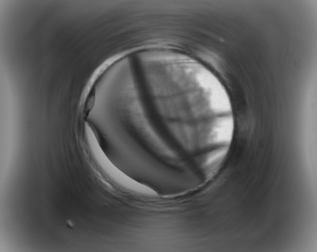 X0000083561371200703091607