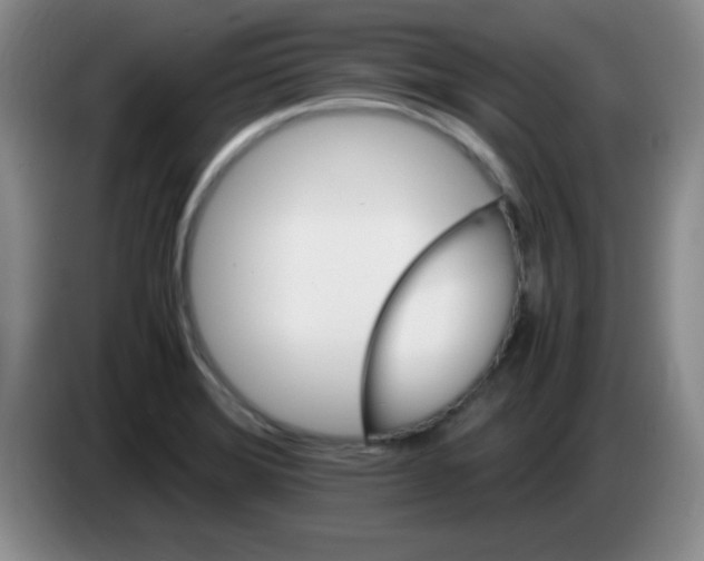 X0000083561372200703091607