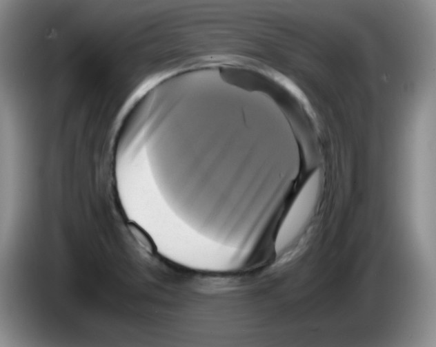 X0000083561373200703091607