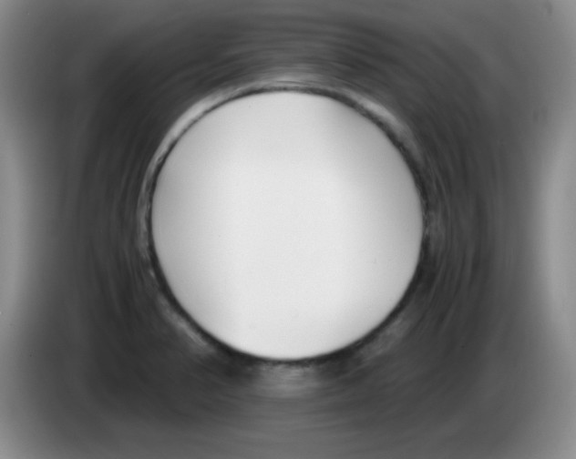 X0000083561374200703091607