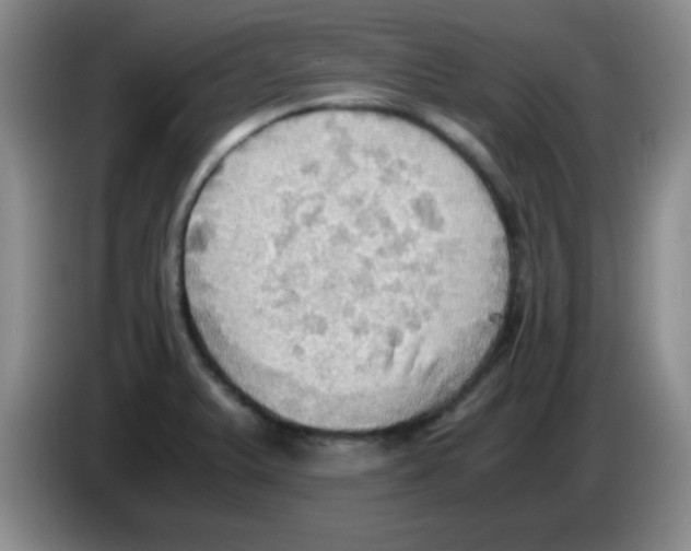 X0000083561375200703091607