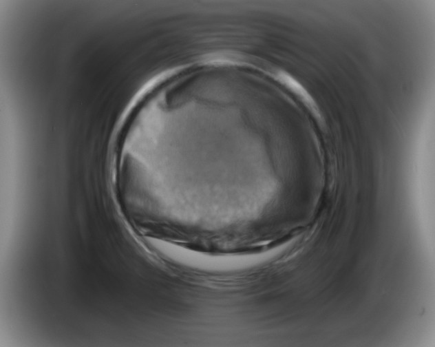 X0000083561376200703091607