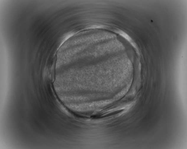 X0000083561377200703091607