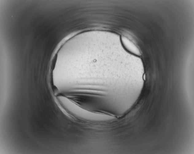 X0000083561379200703091607