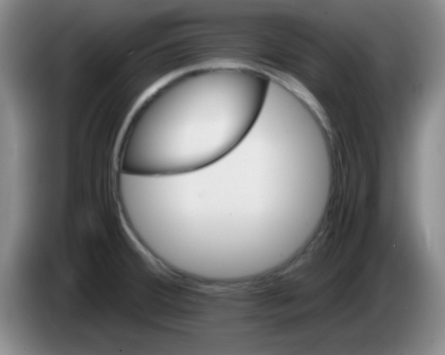 X0000083561380200703091607