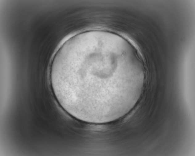 X0000083561382200703091607