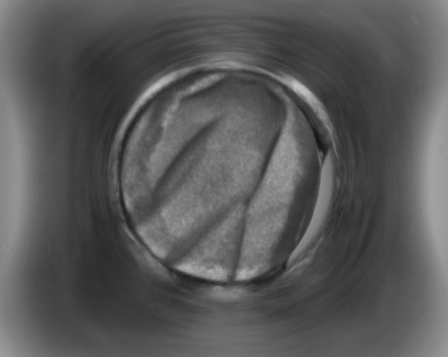 X0000083561384200703091607