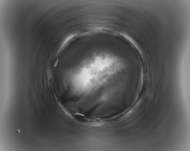 X0000083561385200703091607