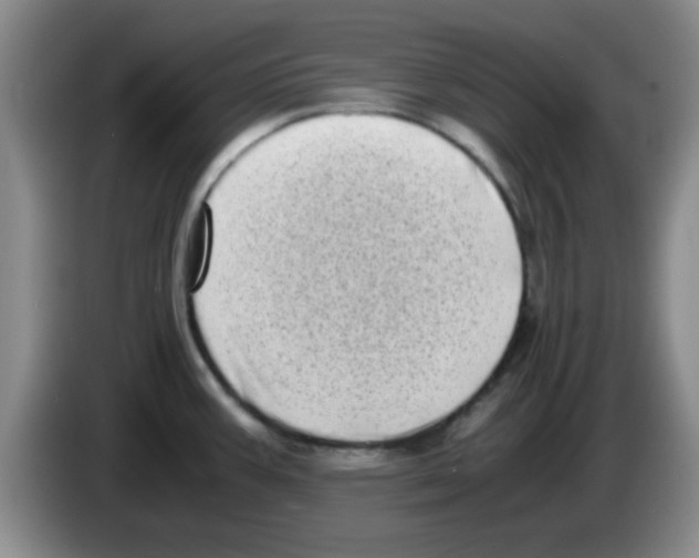 X0000083561387200703091607