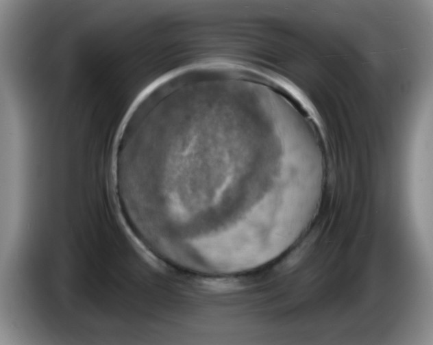 X0000083561388200703091607