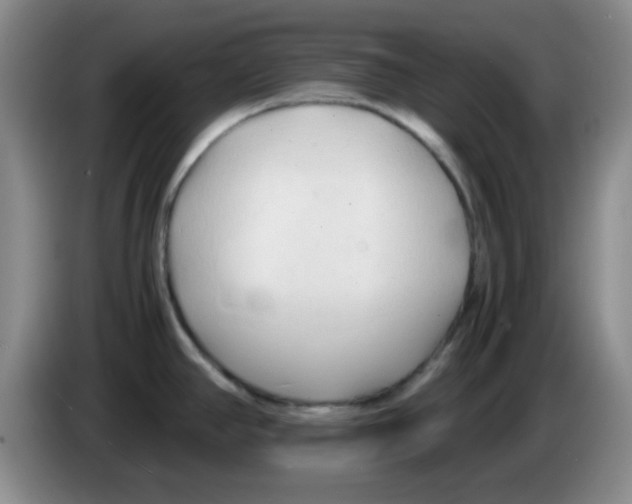 X0000083561390200703091607