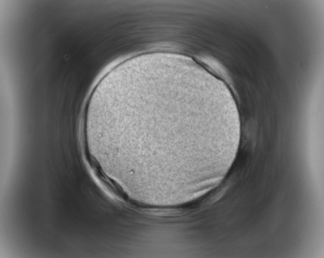 X0000083561391200703091607