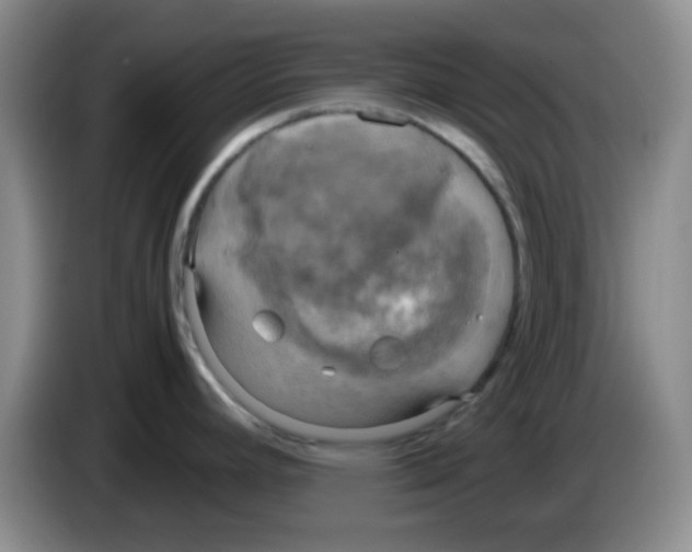 X0000083561392200703091607