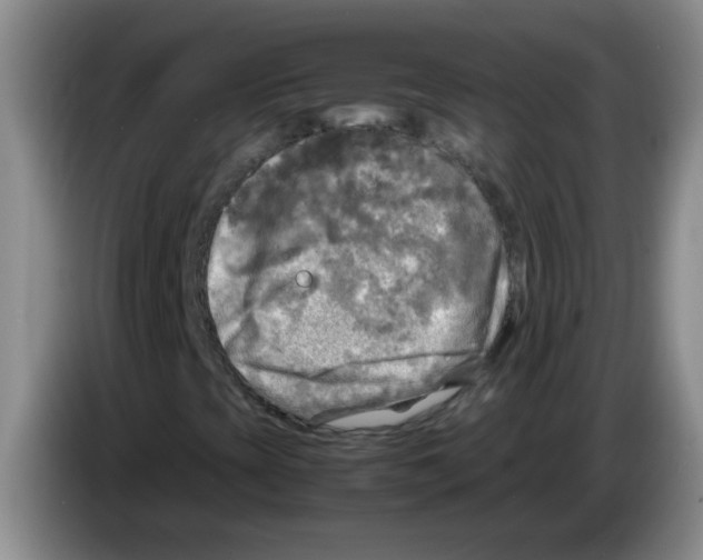 X0000083561393200703091606